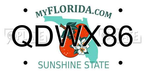 QDWX86 Florida License Plate