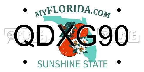 QDXG90 Florida License Plate