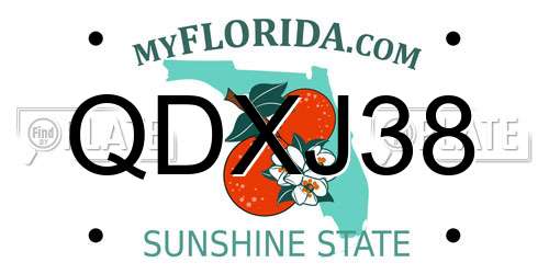 QDXJ38 Florida License Plate