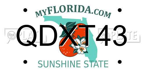QDXT43 Florida License Plate