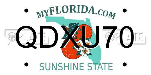 QDXU70 Florida License Plate