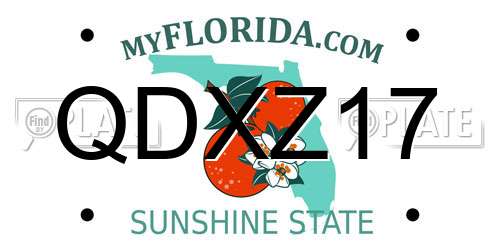 QDXZ17 Florida License Plate