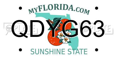 QDYG63 Florida License Plate