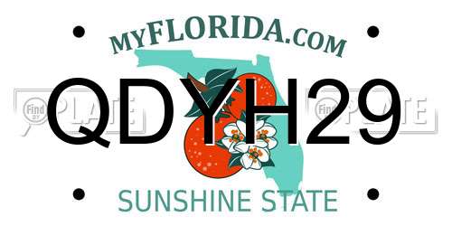QDYH29 Florida License Plate