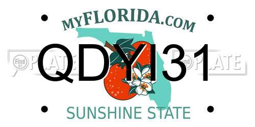 QDYI31 Florida License Plate