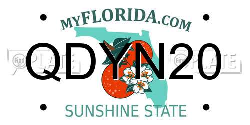 QDYN20 Florida License Plate