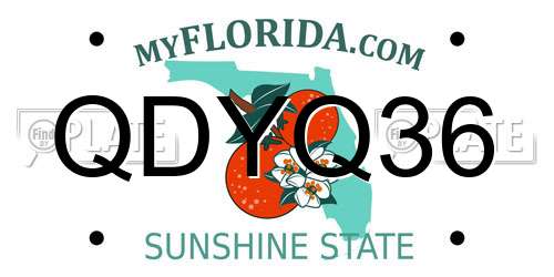 QDYQ36 Florida License Plate