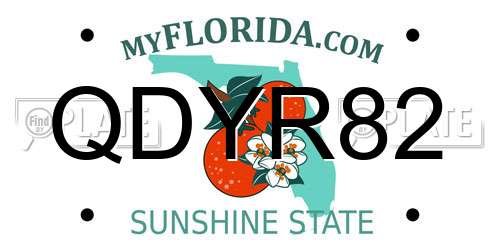QDYR82 Florida License Plate