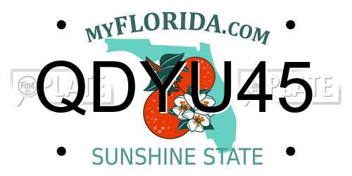 QDYU45 Florida License Plate