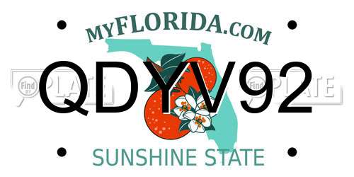 QDYV92 Florida License Plate