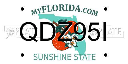 QDZ95I Florida License Plate