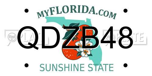 QDZB48 Florida License Plate