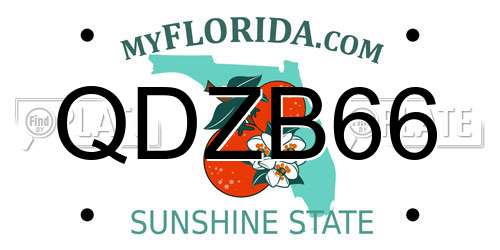 QDZB66 Florida License Plate
