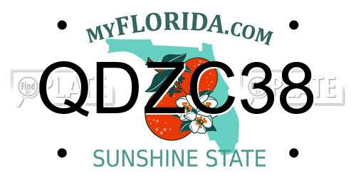 QDZC38 Florida License Plate