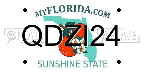 QDZI24 Florida License Plate