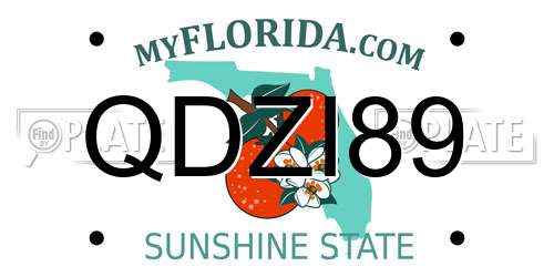 QDZI89 Florida License Plate