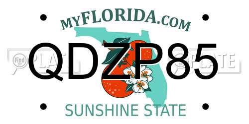 QDZP85 Florida License Plate
