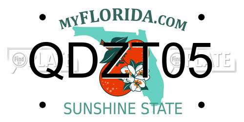 QDZT05 Florida License Plate
