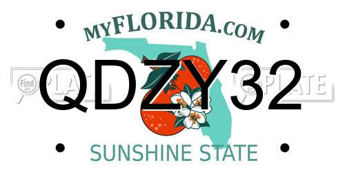 QDZY32 Florida License Plate