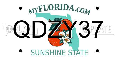 QDZY37 Florida License Plate