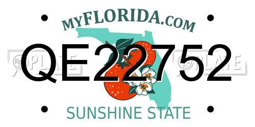 QE22752 Florida License Plate