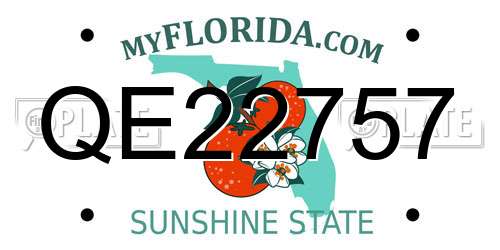 QE22757 Florida License Plate
