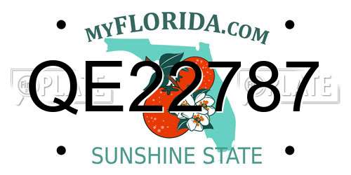 QE22787 Florida License Plate