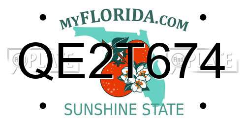 QE2T674 Florida License Plate