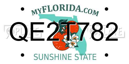 QE2T782 Florida License Plate