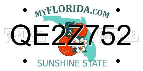 QE2Z752 Florida License Plate