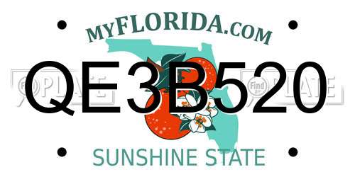 QE3B520 Florida License Plate