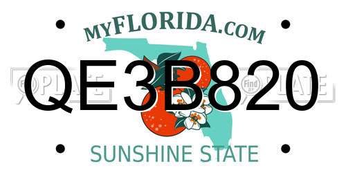 QE3B820 Florida License Plate