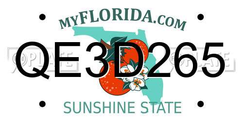 QE3D265 Florida License Plate