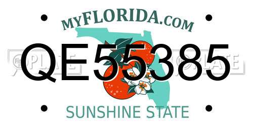 QE55385 Florida License Plate