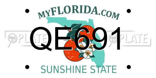 QE691 Florida License Plate