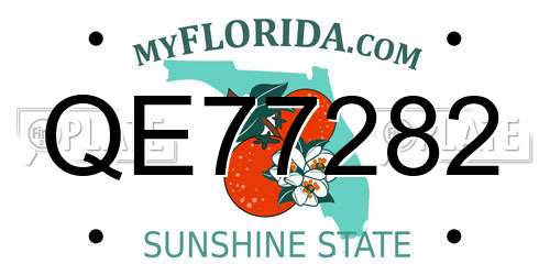 QE77282 Florida License Plate