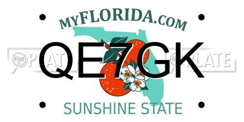 QE7GK Florida License Plate