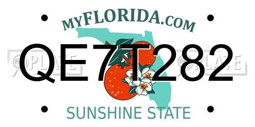 QE7T282 Florida License Plate