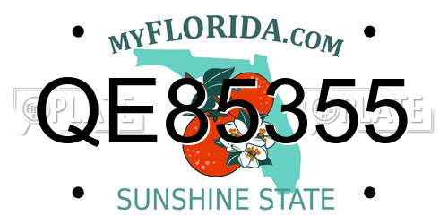 QE85355 Florida License Plate