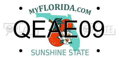 QEAE09 Florida License Plate