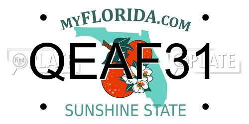 QEAF31 Florida License Plate