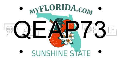 QEAP73 Florida License Plate