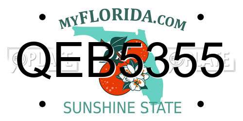 QEB5355 Florida License Plate