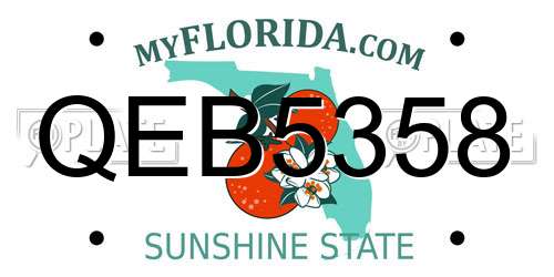 QEB5358 Florida License Plate