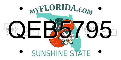QEB5795 Florida License Plate