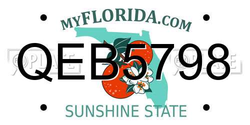 QEB5798 Florida License Plate