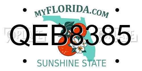 QEB8385 Florida License Plate