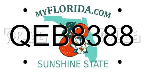 QEB8388 Florida License Plate