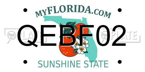 QEBF02 Florida License Plate