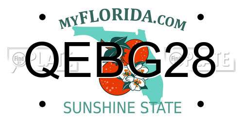 QEBG28 Florida License Plate